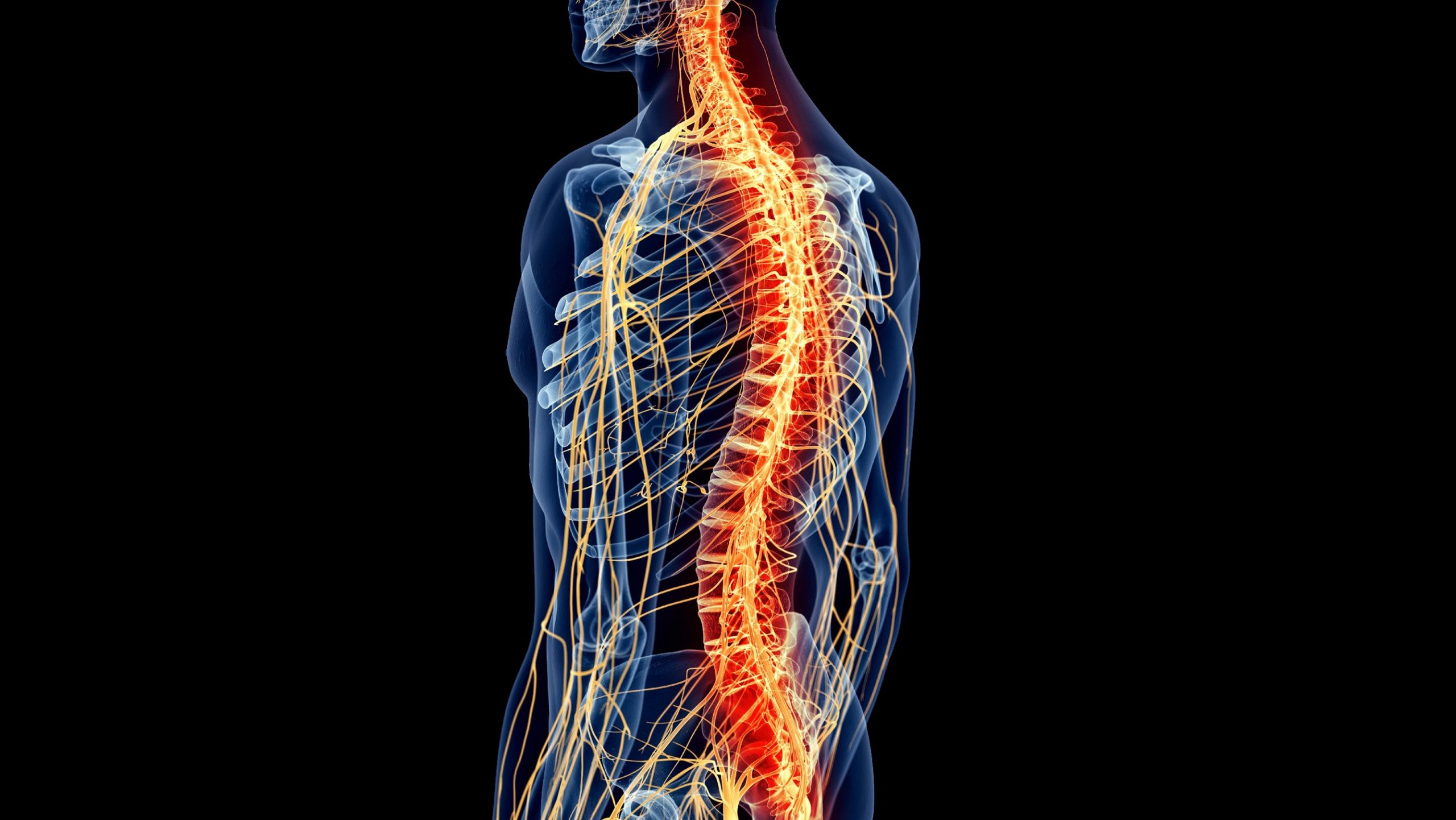 Neuro-Emergencies _ Spinal Cord Injuries
