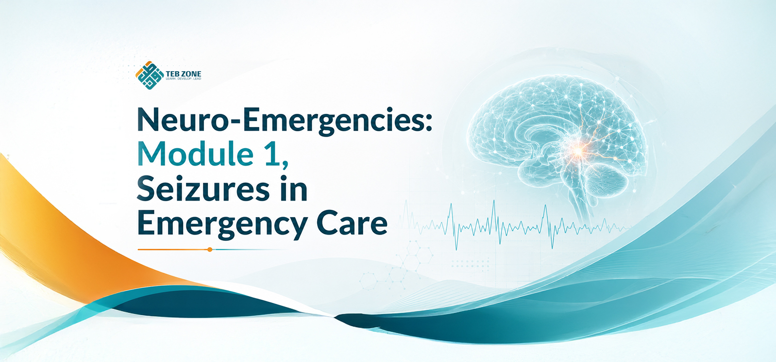 Neuro-Emergencies: Module 1, Seizures in Emergency Care