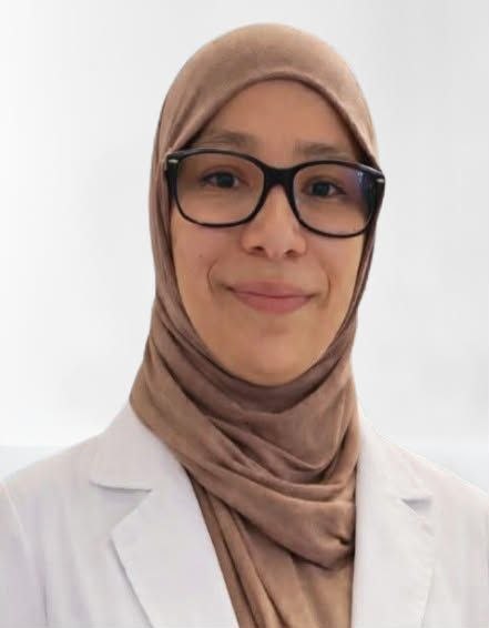 Dr. Alaa Mohamed Mohsen