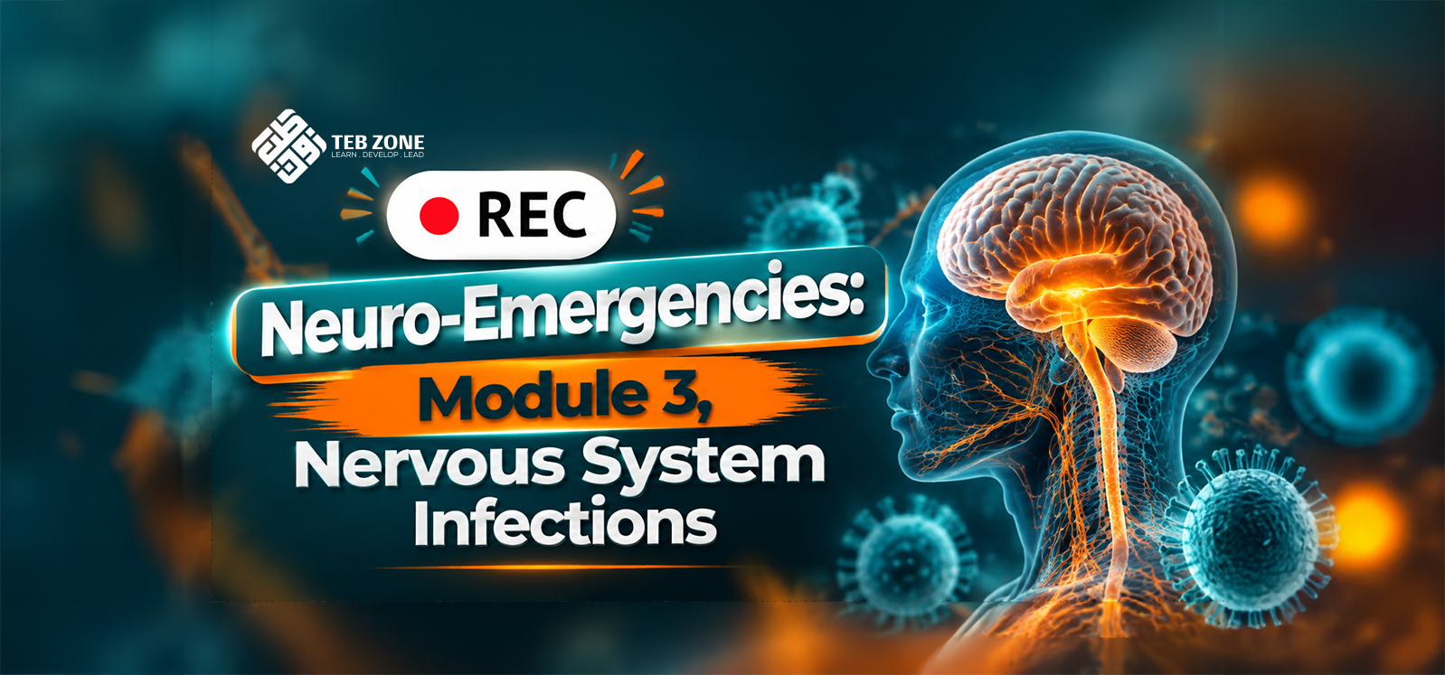 Neuro-Emergencies: Module 3, Nervous System Infections
